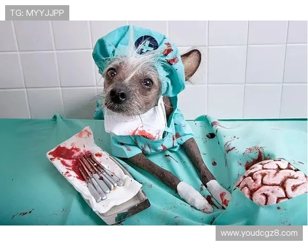 动物管理员闯南亚：一场奇遇，一次唤醒