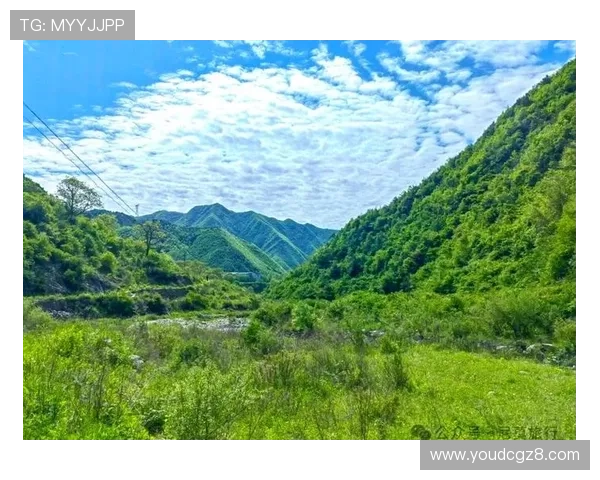 心之谷:寻觅心灵深处的静谧绿洲 心之谷:寻觅心灵深处的静谧绿洲